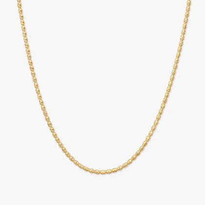 Titan Gold Chain