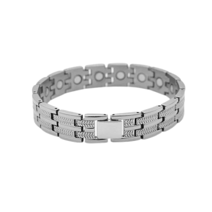 Regal Knight Silver Bracelet